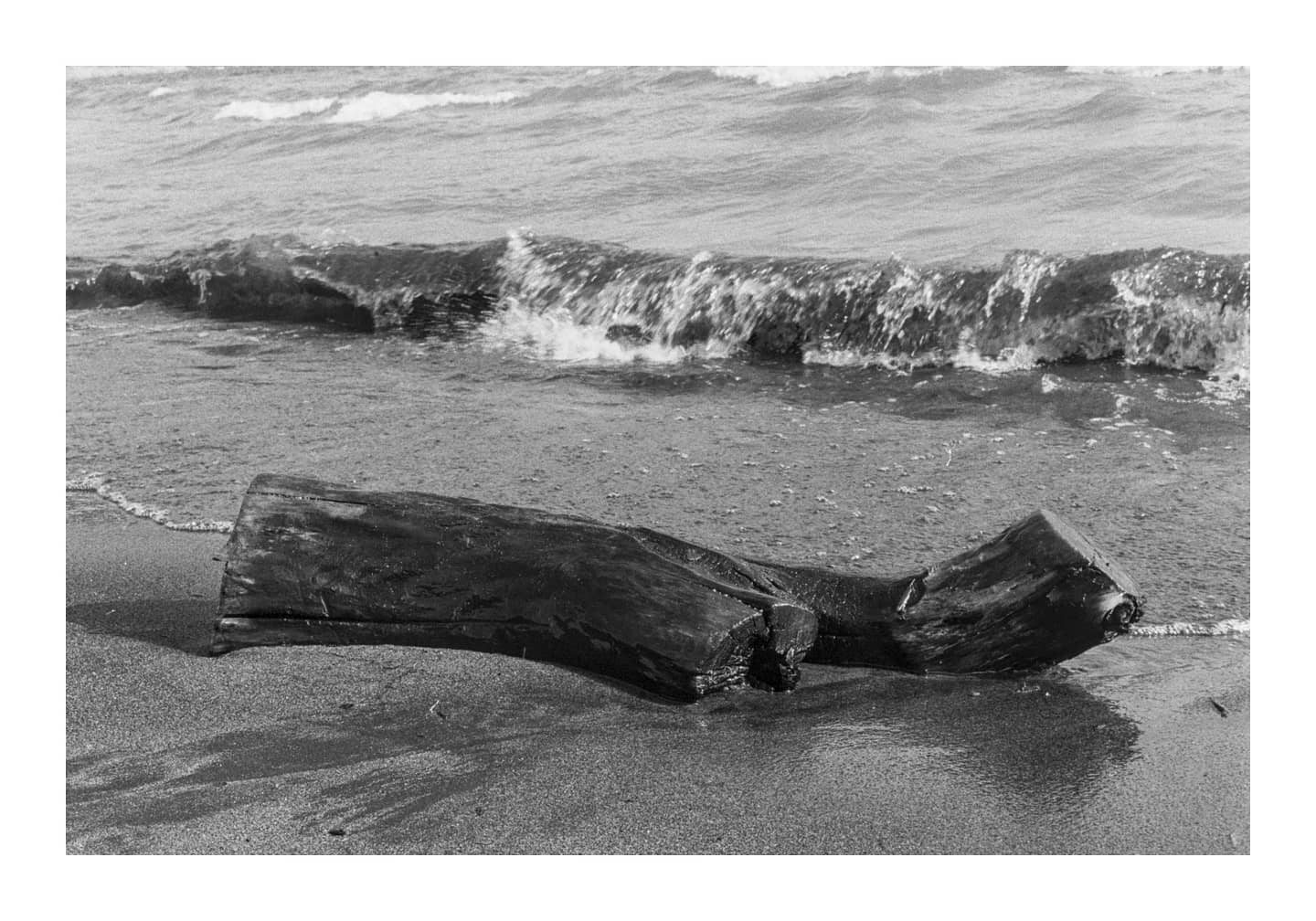 The Log